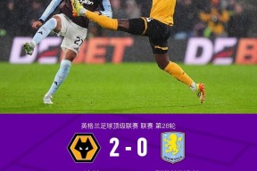 YY易游m6米乐福建YY易游m6米乐信息技术有限公司-狼队主场轻取阿斯顿维拉，留住保级希望的简单介绍