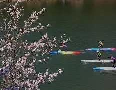 这场比赛成为体育圈的焦点事件,引发广泛讨论(体育比赛的残酷性) 这场比赛成为体育圈的焦点事件,引发广泛讨论(体育比赛的残酷性)