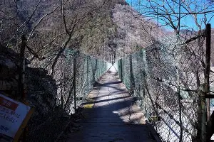 包含摩洛哥队防守稳固，非洲杯表现抢眼的词条