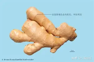 关于罗马尼亚主场失利，小组出线形势岌岌可危的信息
